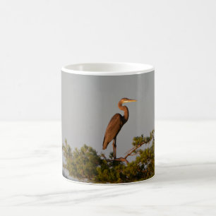 Great Blue Heron On Tree Top Color Morph Mug