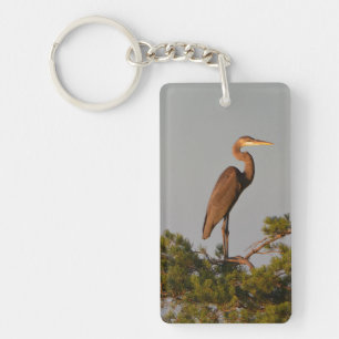 Great Blue Heron On Tree Top Keychain