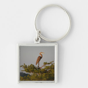Great Blue Heron On Tree Top Keychain