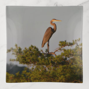 Great Blue Heron On Tree Top Trinket Tray