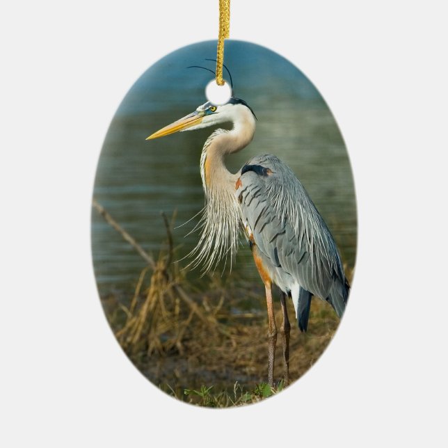 Great Blue Heron Ornament (Front)