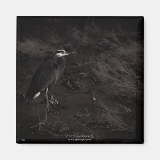 Great Blue Heron P2391 Magnet