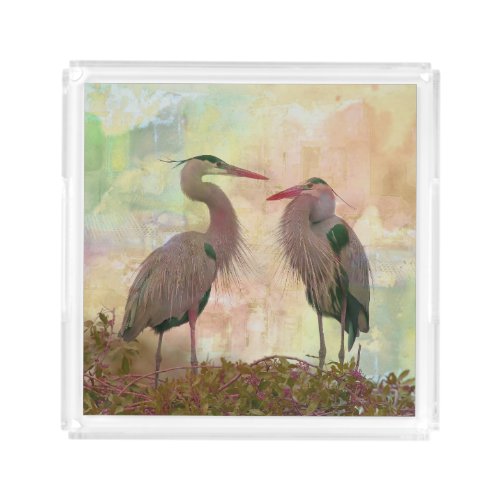 Great Blue Heron Pair Digital Acrylic Tray