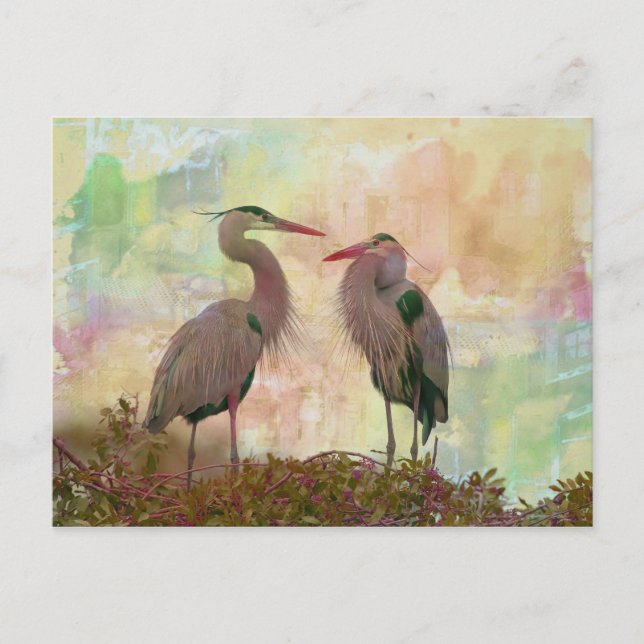 Great Blue Heron Pair Digital Art Postcard (Front)