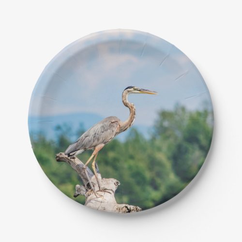 Great Blue Heron Paper Plates
