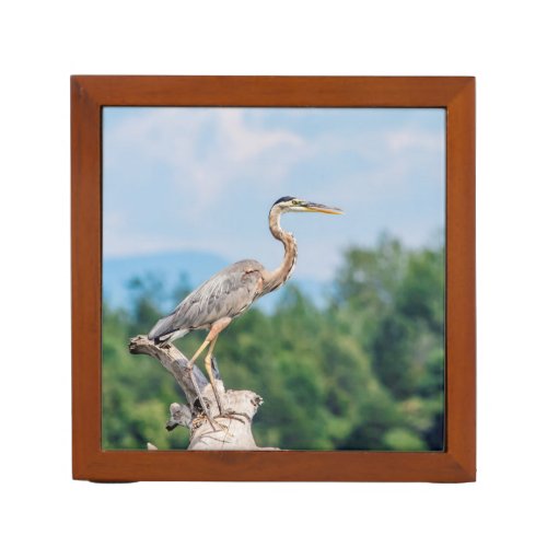 Great Blue Heron PencilPen Holder