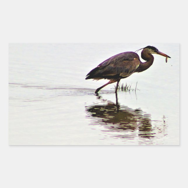 Great Blue Heron Photo Rectangular Sticker (Front)