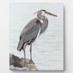 Great Blue Heron Plaque
