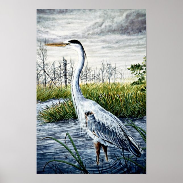 Great blue heron poster (Front)