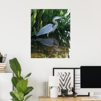 Great Blue Heron Poster | Zazzle