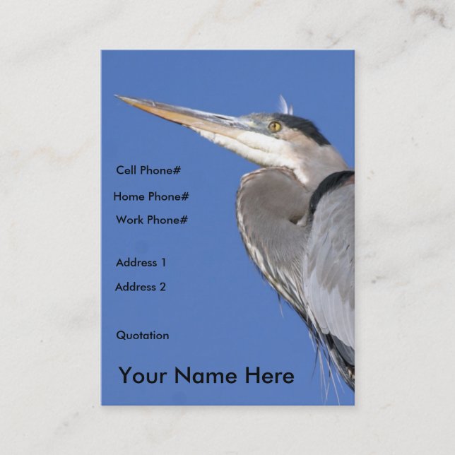 Great Blue Heron Profile Card (Front)