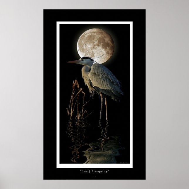 Great Blue Heron, Reeds and Moon Art Print (Front)