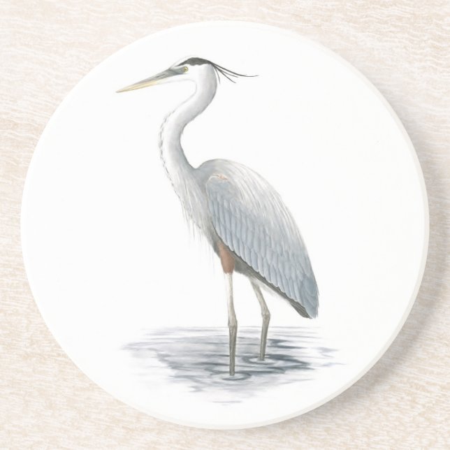 Great Blue Heron Sandstone Coaster (Front)