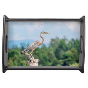 Great Blue Heron Serving Tray