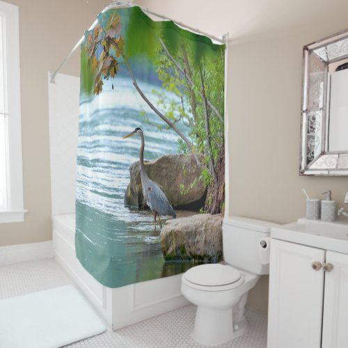 Great Blue Heron Shower Curtain