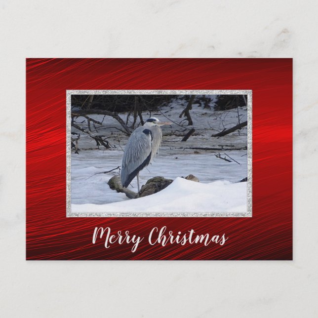 Great Blue Heron Snow Photo Christmas Postcard (Front)