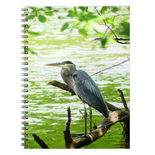 Great Blue Heron spring river forest nature Notebook