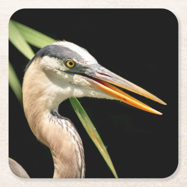 Great Blue Heron Square Paper Coaster (Front)