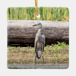 Great Blue Heron standing in Lake Champlain Ceramic Ornament