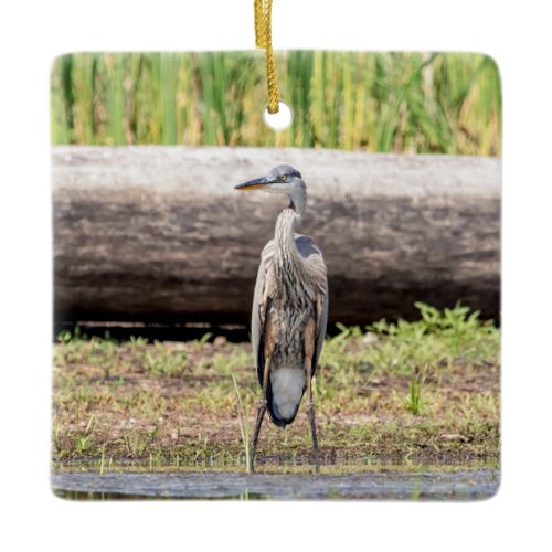 Great Blue Heron standing in Lake Champlain Ceramic Ornament