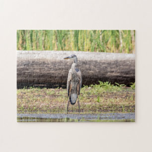 Great Blue Heron standing in Lake Champlain Jigsaw Puzzle