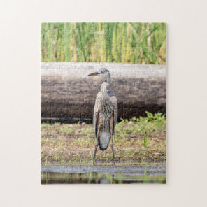 Great Blue Heron standing in Lake Champlain Jigsaw Puzzle