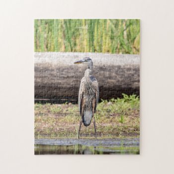 Great Blue Heron Standing In Lake Champlain Jigsaw Puzzle by debscreative at Zazzle