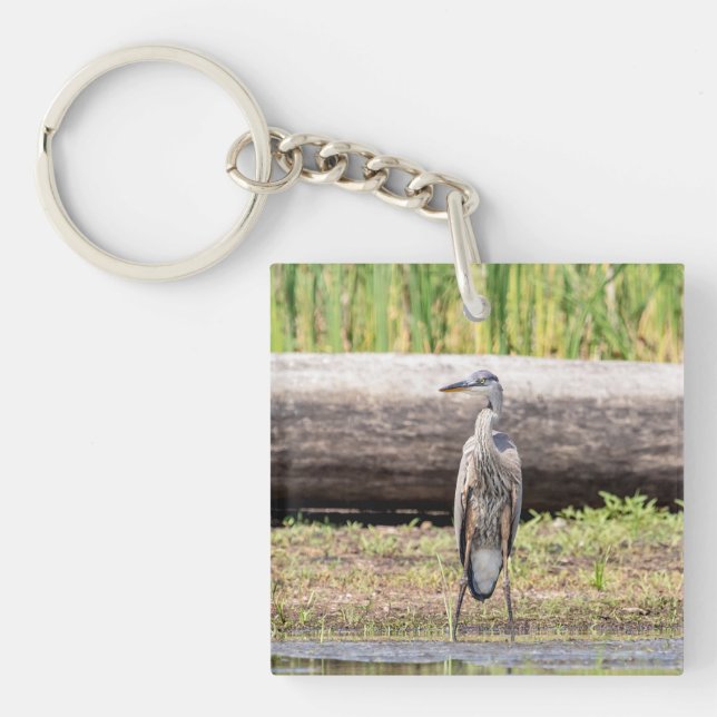 Great Blue Heron standing in Lake Champlain Keychain (Front)