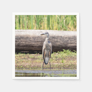 Great Blue Heron standing in Lake Champlain Paper Napkins