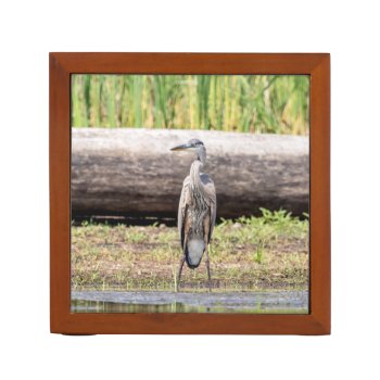 Great Blue Heron Standing In Lake Champlain Pencil/pen Holder by debscreative at Zazzle
