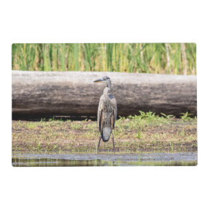 Great Blue Heron standing in Lake Champlain Placemat