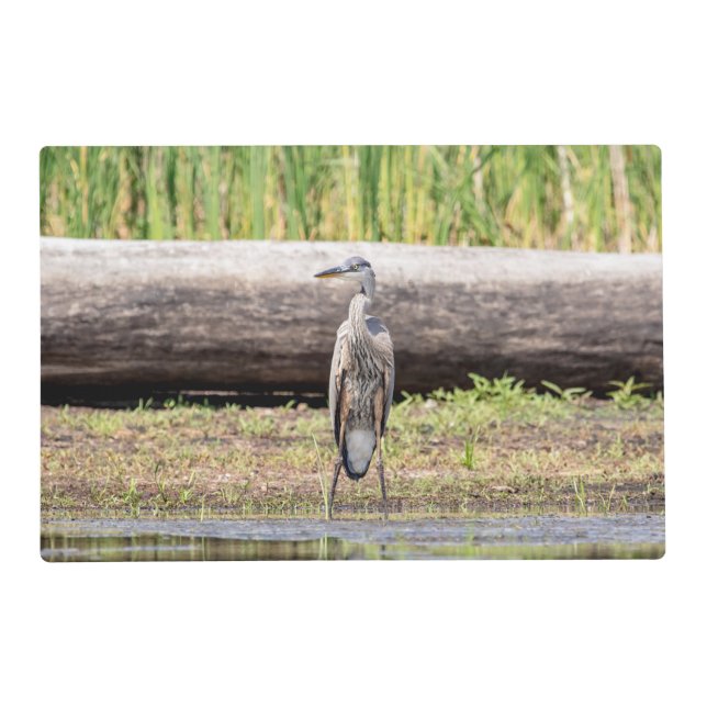 Great Blue Heron standing in Lake Champlain Placemat (Front)