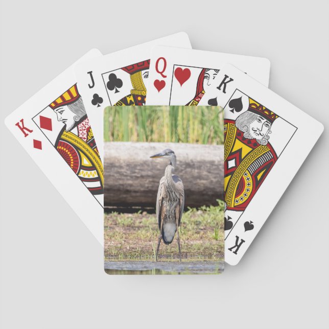 Great Blue Heron standing in Lake Champlain Poker Cards (Back)