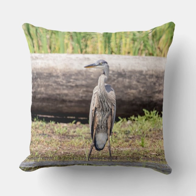 Great Blue Heron standing in Lake Champlain Throw Pillow (Front)