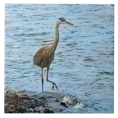 Great Blue Heron Standing in the Water Ceramic Tile