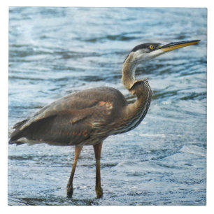 Great Blue Heron Standing in the Water Ceramic Tile