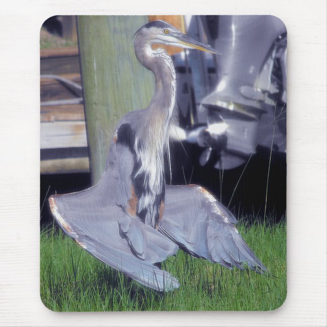 Great Blue Heron sunbathing Mouse Pad (Front)