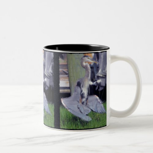 Great Blue Heron sunbathing Two_Tone Coffee Mug