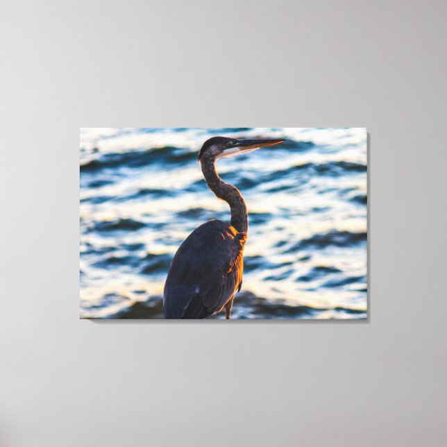 Great Blue Heron Sunset Vibe Canvas Print (Front)