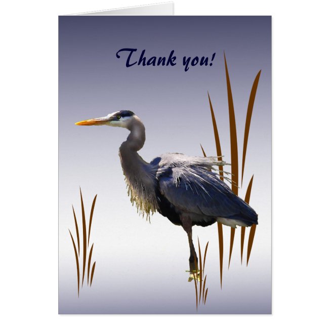 Great Blue Heron Thank You
