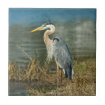Great Blue Heron Tile at Zazzle