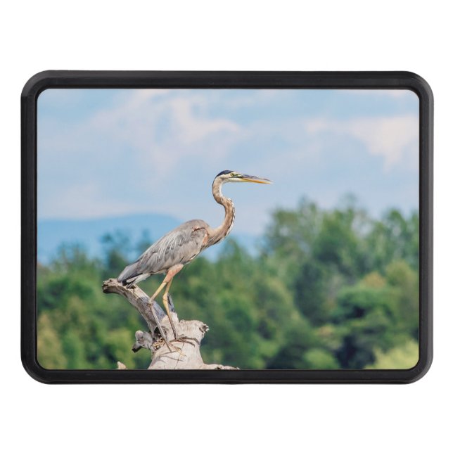 Great Blue Heron Trailer Hitch Cover (Front)