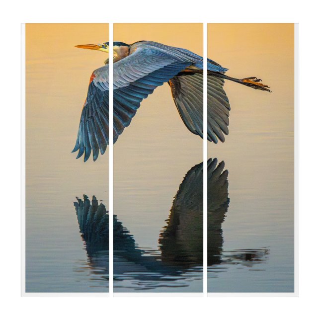 Great Blue Heron Triptych Wall Art | Coastal Bird  (Front)