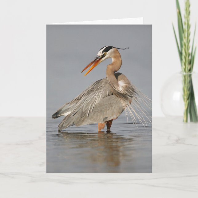 Great Blue Heron Twisting Folding Greeting Card (Front)