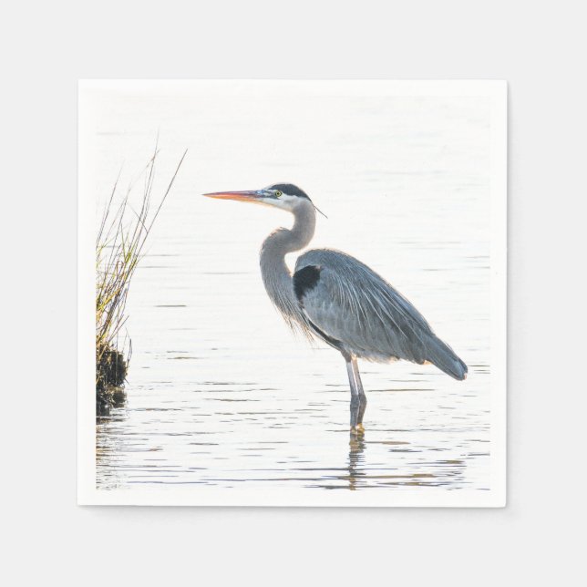 Great Blue Heron - wading Napkins (Front)