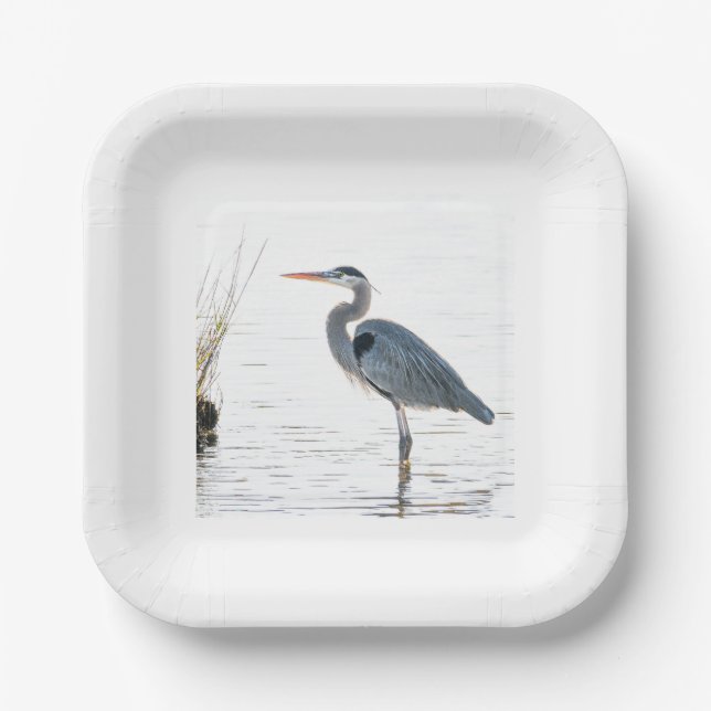 Great Blue Heron - wading Paper Plates (Front)