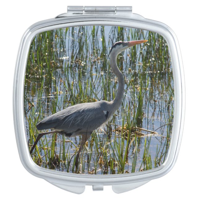Great Blue Heron Wading Through Marsh Compact Mirror (Front)