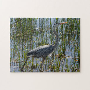 Great Blue Heron Wading Through Marsh Wildlife Jigsaw Puzzle