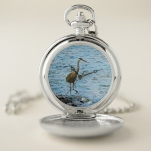 Great Blue Heron Walking in Water Pocket Watch