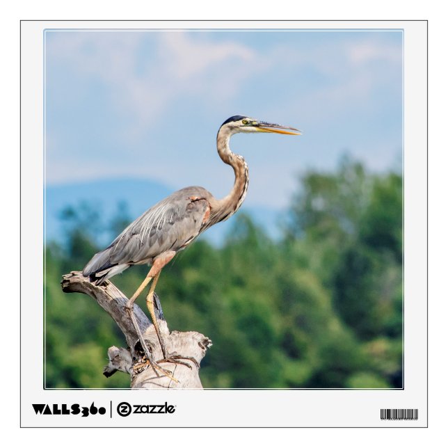 Great Blue Heron Wall Decal (Front)